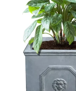 KANTE 12.5" and 10.2"H Square Antique Gray Lightweight Classic English Style Lion Head Planter (Set of 2) Outdoor/Indoor 13 KANTE 12.5" and 10.2"H Square Antique Gray Lightweight Classic English Style Lion Head Planter (Set of 2) Outdoor/Indoor -Outdoor Plant Life antique gray kante plant pots rf0172ab c80451 44 1000