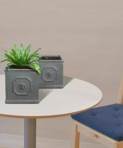 KANTE 12.5" and 10.2"H Square Antique Gray Lightweight Classic English Style Lion Head Planter (Set of 2) Outdoor/Indoor 15 KANTE 12.5" and 10.2"H Square Antique Gray Lightweight Classic English Style Lion Head Planter (Set of 2) Outdoor/Indoor -Outdoor Plant Life antique gray kante plant pots rf0172ab c80451 76 1000