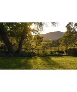 Vigoro Empire/Westbrook 28 in. Black Steel Decorative Fence Gate 21 Vigoro Empire/Westbrook 28 in. Black Steel Decorative Fence Gate -Outdoor Plant Life black vigoro garden fencing 860350 44 1000