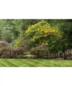 Vigoro Empire/Westbrook 28 in. Black Steel Decorative Fence Gate 22 Vigoro Empire/Westbrook 28 in. Black Steel Decorative Fence Gate -Outdoor Plant Life black vigoro garden fencing 860350 fa 1000