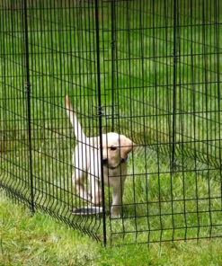 Vigoro 56 in. H Steel Multi-Purpose Black Fence Post (7-Pack) 18 Vigoro 56 in. H Steel Multi-Purpose Black Fence Post (7-Pack) -Outdoor Plant Life black vigoro garden fencing 860428 7pk 4f 1000