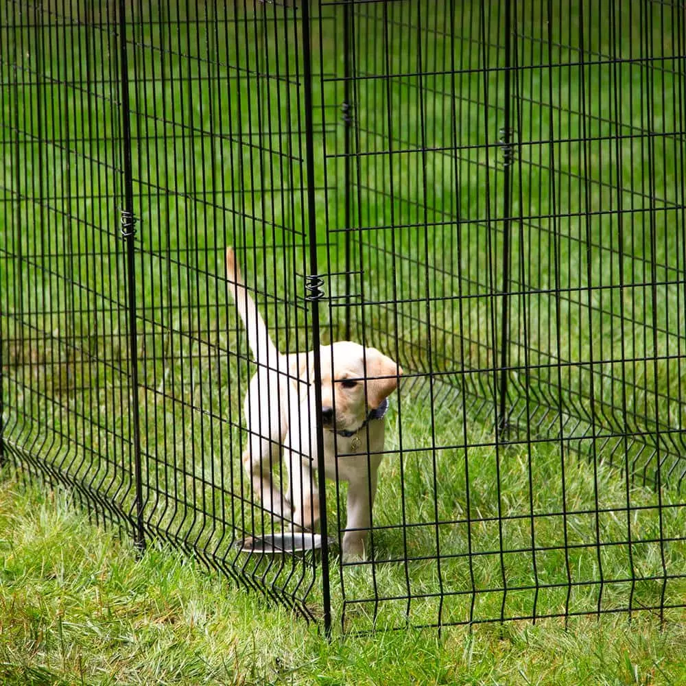 Vigoro 56 in. H Steel Multi-Purpose Black Fence Post (7-Pack) 8 Vigoro 56 in. H Steel Multi-Purpose Black Fence Post (7-Pack) - Image 6