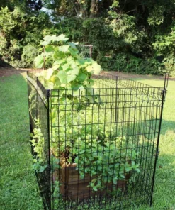 Vigoro 49 in. H Steel No Dig Multi-Purpose Black Latch -Outdoor Plant Life black vigoro garden fencing 860435 4f 1000