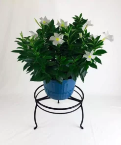 Vigoro 8 in. Black Metal Indoor Plant Stand 9 Vigoro 8 in. Black Metal Indoor Plant Stand -Outdoor Plant Life black vigoro plant stands 51470 c3 1000