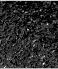 Vigoro EcoBorder 4 ft. Black Rubber Landscape Edging (48-Count/Pallet) -Outdoor Plant Life black vigoro rubber edging ecobrd bl 48 1f 1000