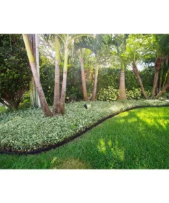 Vigoro EcoBorder 4 ft. Black Rubber Landscape Edging (Single) -Outdoor Plant Life black vigoro rubber edging ecobrd blk 4 ft 76 1000