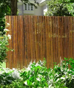 Vigoro 6 ft. x 8 ft. Caramel Brown Full Round Bamboo Fence -Outdoor Plant Life caramel brown vigoro garden fencing 4477411 4f 1000