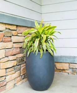 KANTE 21.7 in. H Round Charcoal Concrete/Fiberglass Indoor Outdoor Modern Tall Planter -Outdoor Plant Life charcoal kante plant pots osc0066a c60121 4f 1000
