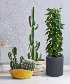 KANTE 15.8 in. x 12.9 in. and 9.8 in. W Round Charcoal Concrete/Fiberglass Indoor Outdoor Elegant Planters -Outdoor Plant Life charcoal kante plant pots osc0119abc c60121 1f 1000