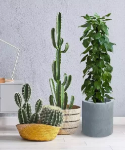 KANTE 15.8 in. W Round Charcoal Concrete/Fiberglass Indoor Outdoor Elegant Planter