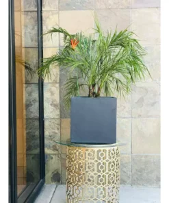 KANTE 12 in. H Square Charcoal Concrete/Fiberglass Indoor Outdoor Elegant Planter -Outdoor Plant Life charcoal kante plant pots osf0001b c60121 fa 1000