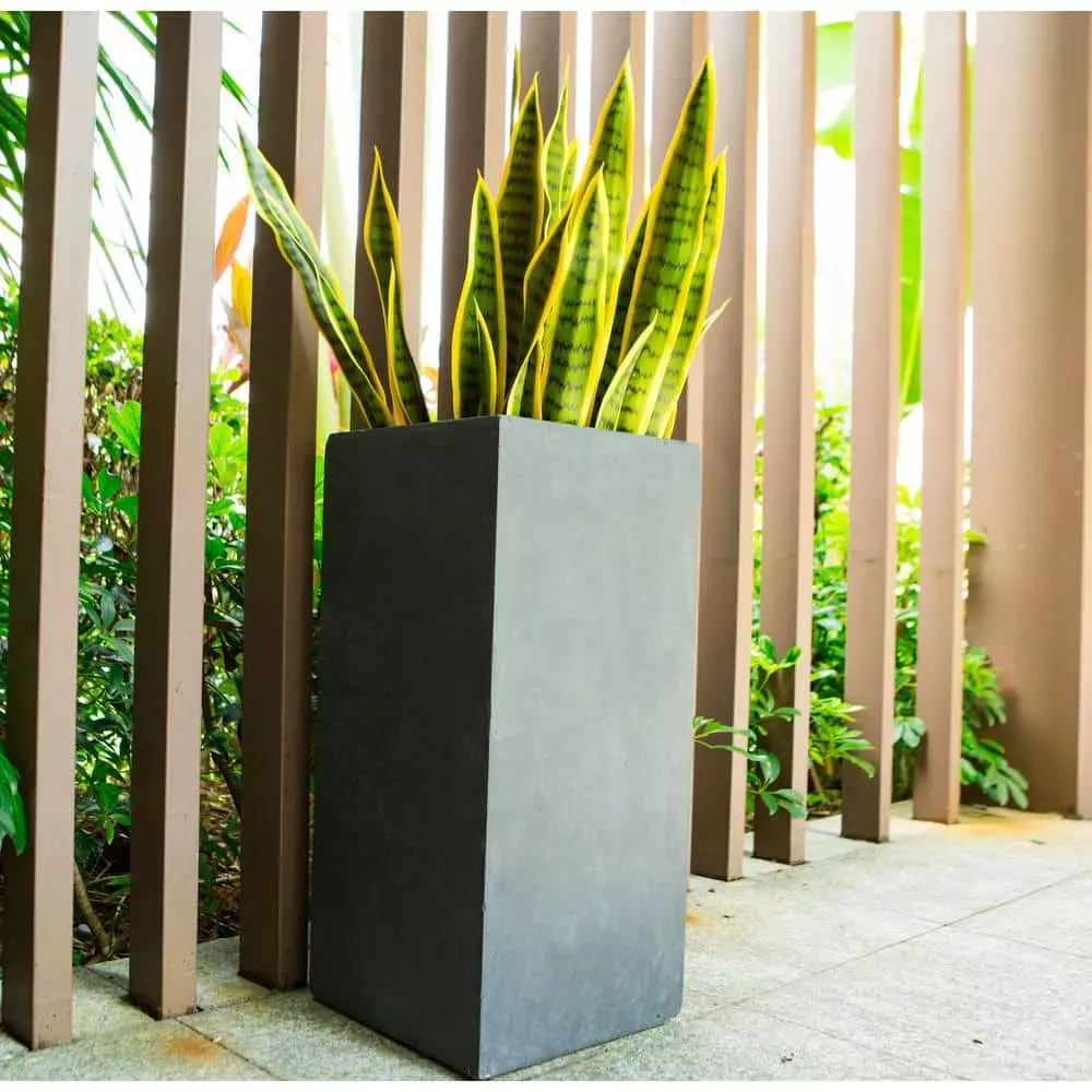 KANTE 28 in. H Square Charcoal Concrete/Fiberglass Indoor Outdoor Modern Tall Planter 10 KANTE 28 in. H Square Charcoal Concrete/Fiberglass Indoor Outdoor Modern Tall Planter - Image 8
