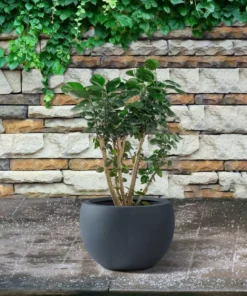 KANTE 8 in. H Charcoal Concrete and Fiberglass Round Bowl Planter, Outdoor Indoor Large Planters Pots with Drainage -Outdoor Plant Life charcoal kante plant pots rc0049a c60121 1f 1000