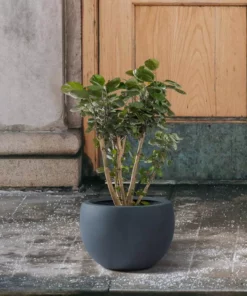 KANTE 8 in. H Charcoal Concrete and Fiberglass Round Bowl Planter, Outdoor Indoor Large Planters Pots with Drainage -Outdoor Plant Life charcoal kante plant pots rc0049a c60121 4f 1000