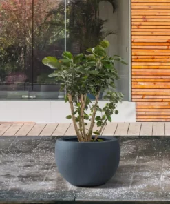 KANTE 8 in. H Charcoal Concrete and Fiberglass Round Bowl Planter, Outdoor Indoor Large Planters Pots with Drainage -Outdoor Plant Life charcoal kante plant pots rc0049a c60121 fa 1000