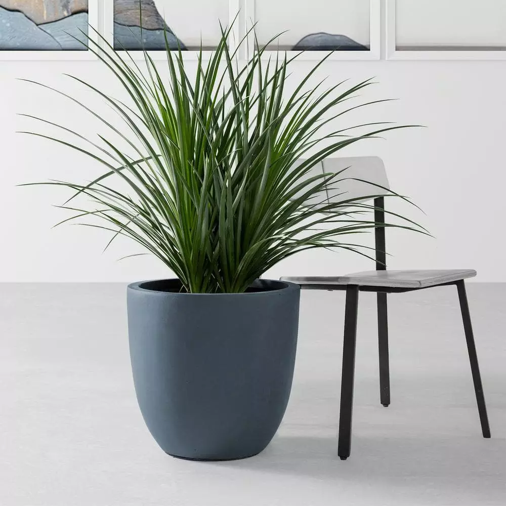 KANTE 9 in. H Charcoal Concrete and Fiberglass Round Bowl Planter, Outdoor Indoor Large Planters Pots with Drainage 8 KANTE 9 in. H Charcoal Concrete and Fiberglass Round Bowl Planter, Outdoor Indoor Large Planters Pots with Drainage - Image 6