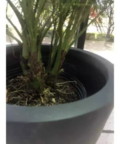 KANTE Medium 10 in. Tall Charcoal Lightweight Concrete Round Outdoor Bowl Planter -Outdoor Plant Life charcoal kante plant pots rc0051c c60121 44 1000