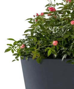 KANTE 20.9", 17.7", 15" & 12.6"H Cylindrical Charcoal Finish Lightweight Concrete Modern Planters Set of 4, Outdoor Indoor -Outdoor Plant Life charcoal kante plant pots rc0154bcde c60121 fa 1000