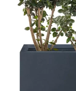 KANTE 23.6" and 19.4"L Rectangular Charcoal Finish Lightweight Concrete Long Planter w/ Drainage Hole Set of 2 Outdoor/Indoor -Outdoor Plant Life charcoal kante plant pots rf0146sa c60121 4f 1000