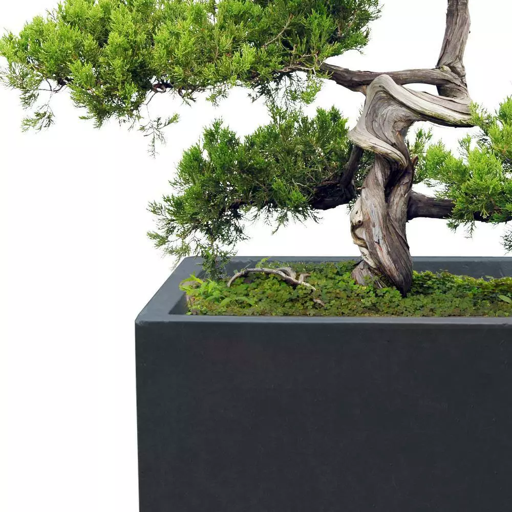 KANTE 31.4 in. & 23.6 in. L Rectangular Charcoal Lightweight Long Low Planters w/Drainage Hole (Set of 2), Outdoor/Indoor 9 KANTE 31.4 in. & 23.6 in. L Rectangular Charcoal Lightweight Long Low Planters w/Drainage Hole (Set of 2), Outdoor/Indoor - Image 7