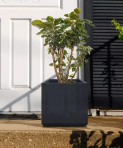 KANTE 11.81 x 11.81 in. Square Charcoal Lightweight Concrete and Weather Resistant Fiberglass Planter w/Drainage Hole 17 KANTE 11.81 x 11.81 in. Square Charcoal Lightweight Concrete and Weather Resistant Fiberglass Planter w/Drainage Hole -Outdoor Plant Life charcoal kante plant pots rf0221b c60121 76 1000