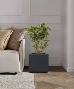 KANTE 11.81 x 11.81 in. Square Charcoal Lightweight Concrete and Weather Resistant Fiberglass Planter w/Drainage Hole 16 KANTE 11.81 x 11.81 in. Square Charcoal Lightweight Concrete and Weather Resistant Fiberglass Planter w/Drainage Hole -Outdoor Plant Life charcoal kante plant pots rf0221b c60121 fa 1000