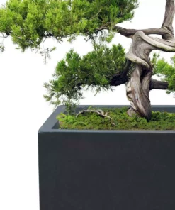 KANTE 31.4" & 23.6"L Rectangular Charcoal Finish Lightweight Concrete Long Planters w/Drainage Hole Set of 2, Outdoor/Indoor -Outdoor Plant Life charcoal kante plant pots rf0264ac c60121 4f 1000