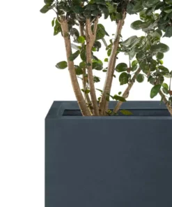 KANTE 17.3 in. W Square Charcoal Lightweight Concrete and Fiberglass Planters with Drainage Holes (Set of 2) 11 KANTE 17.3 in. W Square Charcoal Lightweight Concrete and Fiberglass Planters with Drainage Holes (Set of 2) -Outdoor Plant Life charcoal kante plant pots rf2015015bc c60121 4f 1000