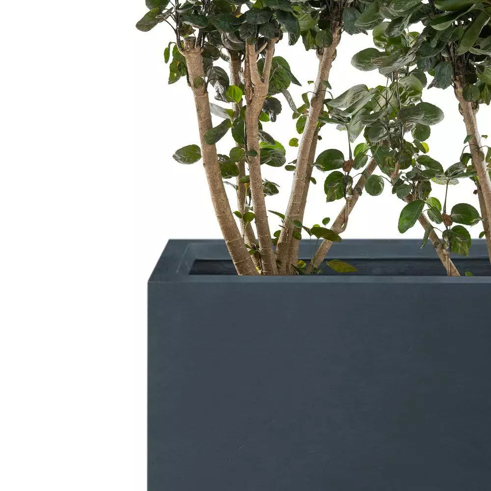KANTE 17.3 in. W Square Charcoal Lightweight Concrete and Fiberglass Planters with Drainage Holes (Set of 2) 5 KANTE 17.3 in. W Square Charcoal Lightweight Concrete and Fiberglass Planters with Drainage Holes (Set of 2) - Image 3