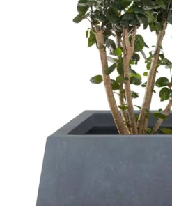 KANTE 21.2 in. and 16.1 in. W Square Charcoal Finish Lightweight Concrete/Fiberglass Planters with Drainage Holes (Set of 2) -Outdoor Plant Life charcoal kante plant pots rf2015018ab c60121 4f 1000