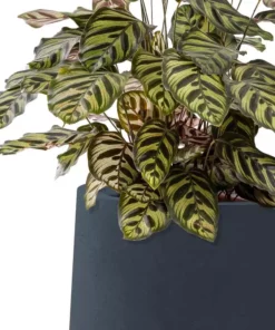 KANTE 10.63 in. x 13.78 in. Round Charcoal Lightweight Concrete and Weather Resistant Fiberglass Planter w/Drainage Hole -Outdoor Plant Life charcoal kante plant pots rf2015023c c60121 1f 1000