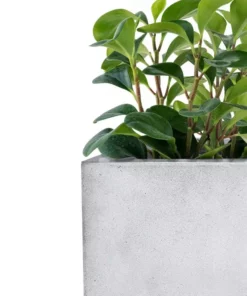 KANTE 31" and 23"L Rectangular Large Concrete Long Box Planters Set of 2, Outdoor/Indoor Strong UV Resistant w/Drainage Holes -Outdoor Plant Life concrete kante plant pots rf0104ab c81921 76 1000