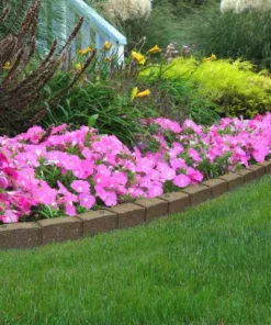 Vigoro Roman Stone 48 in. Rubber Garden Edging Earth (Pack of 2) -Outdoor Plant Life earth vigoro rubber edging mt5001789cm 31 1000