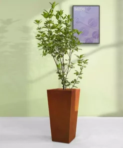 KANTE 24.4 in. H Rectangle Faux Weathering Steel Lightweight Concrete Tapered Tall Planter with Drainage Hole, Outdoor/Indoor -Outdoor Plant Life faux weathering steel kante plant pots rf0004c c91942 76 1000