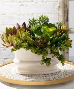 SULLIVANS Ivory Low Oval Ceramic Planter -Outdoor Plant Life glaze sullivans plant pots cm2342 1f 1000