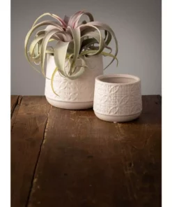 Outdoor Plant Life -Outdoor Plant Life gray sullivans plant pots cm2943 c3 1000