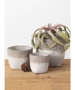 Outdoor Plant Life -Outdoor Plant Life gray sullivans plant pots cmt1187 c3 1000