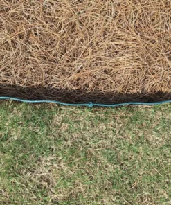 Vigoro 2 ft. W x 0.25 in. L Green Plastic Easy Edging 11 Vigoro 2 ft. W x 0.25 in. L Green Plastic Easy Edging -Outdoor Plant Life green vigoro plastic edging 51034 c3 1000