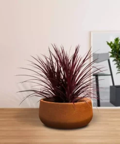 KANTE 16 in. Dia. Round Iron Oxide Concrete Bowl Planter, Outdoor Indoor Large Planter Pot with Drainage Hole -Outdoor Plant Life iron oxide kante plant pots rc0051b c80621 1f 1000