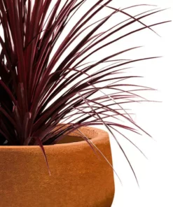 KANTE 16 in. Dia. Round Iron Oxide Concrete Bowl Planter, Outdoor Indoor Large Planter Pot with Drainage Hole -Outdoor Plant Life iron oxide kante plant pots rc0051b c80621 fa 1000