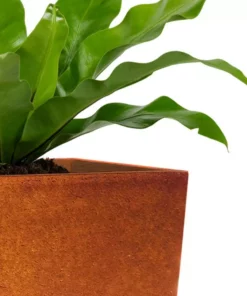 KANTE 28 in. H Iron Oxide Lightweight Concrete Tapered Planter with Drainage Hole, Large Outdoor/Indoor Tall Square Planter -Outdoor Plant Life iron oxide kante plant pots rf0229a s c80621 31 1000