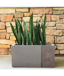 KANTE 31 in and 23 in. L Rectangular Lodgepole Concrete/Fiberglass Indoor Outdoor Elegant Long Planters (Set of 2) -Outdoor Plant Life lodgepole kante plant pots osf0219ab c81051 4f 1000