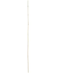 Vigoro 5 ft. Natural Bamboo Stake 14 Vigoro 5 ft. Natural Bamboo Stake -Outdoor Plant Life natural bamboo beige vigoro tomato cages bb5vg 1f 1000