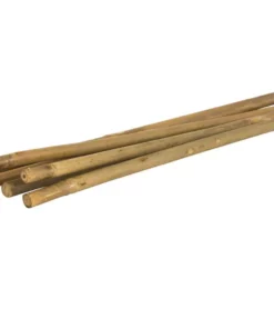 Vigoro 5 ft. Natural Bamboo Stake 13 Vigoro 5 ft. Natural Bamboo Stake -Outdoor Plant Life natural bamboo beige vigoro tomato cages bb5vg 4f 1000
