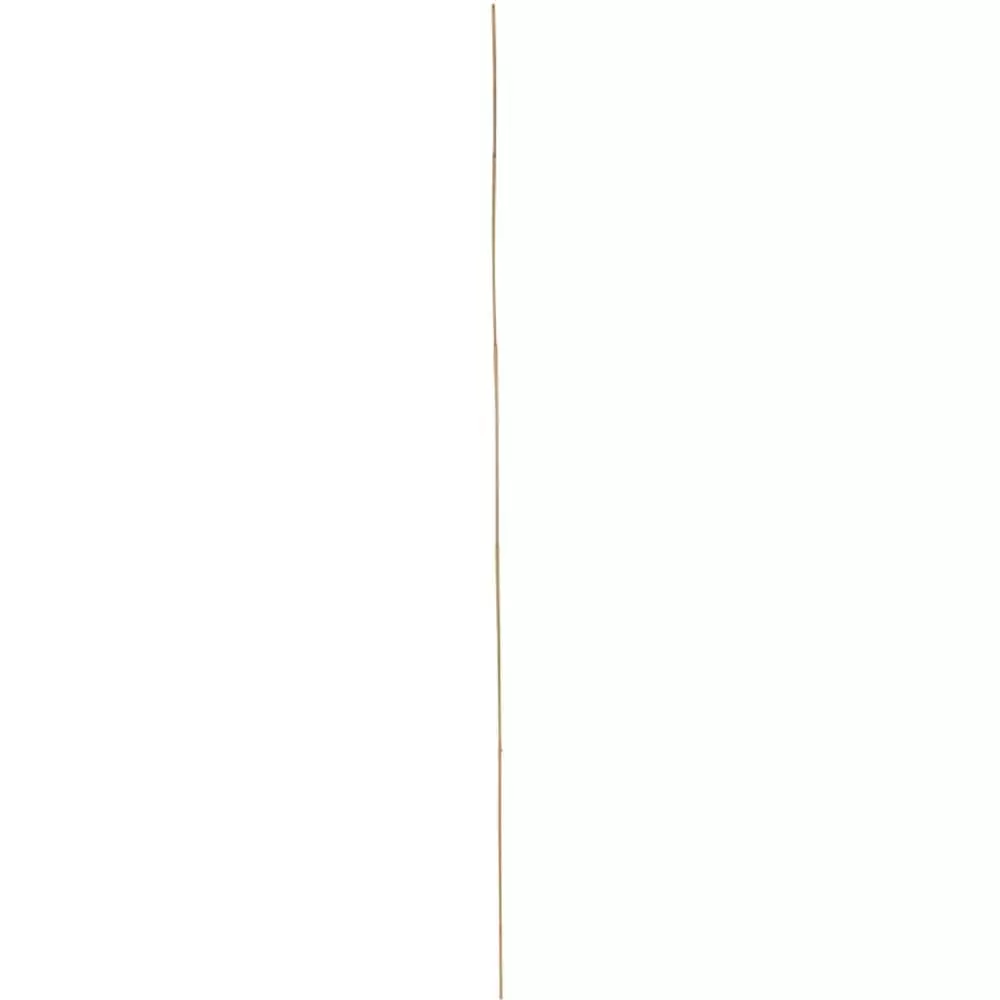 Vigoro Bamboo 6 ft. Natural Stake 7 Vigoro Bamboo 6 ft. Natural Stake - Image 5