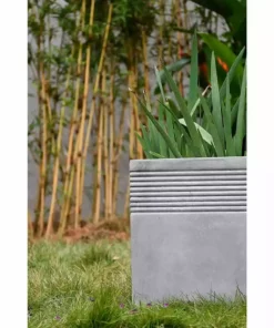 KANTE 15 in. W Square Natural Concrete/Fiberglass Indoor Outdoor Elegant Planter -Outdoor Plant Life natural concrete kante plant pots osf0128b c80021 4f 1000