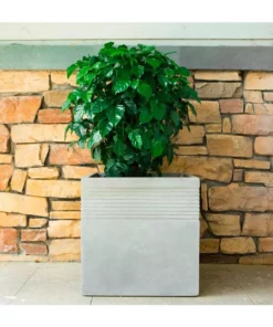 KANTE 15 in. W Square Natural Concrete/Fiberglass Indoor Outdoor Elegant Planter -Outdoor Plant Life natural concrete kante plant pots osf0128b c80021 76 1000