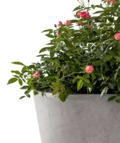 KANTE Large, Medium, Small Round Natural Finish Lightweight Concrete and Weather Resistant Fiberglass Planters (Set of 3) -Outdoor Plant Life natural concrete kante plant pots rc0154bcd c80021 1f 1000