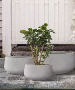 KANTE 21.6", 16.9", and 12.5"W Round Natural Concrete Elegant Planters, Set of 3 Outdoor Indoor Seamless w/ Drainage Hole -Outdoor Plant Life natural concrete kante plant pots rf2015021abc c80021 76 1000