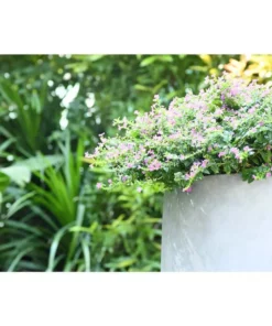 KANTE 17.3 in. Tall Natural Lightweight Concrete Footed Tulip Outdoor Round Planter (Set of 3) -Outdoor Plant Life natural kante plant pots rf2015022bcd c80021 4f 1000